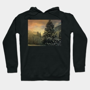 Sunset Snow Forest Hoodie
